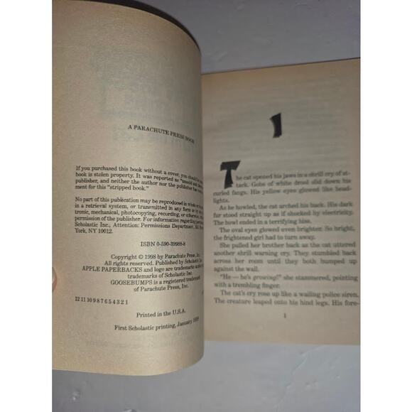 Goosebumps Series 2000 #1 Cry of the Cat w/ iron-on decal 1st Printing - Picture 2 of 4